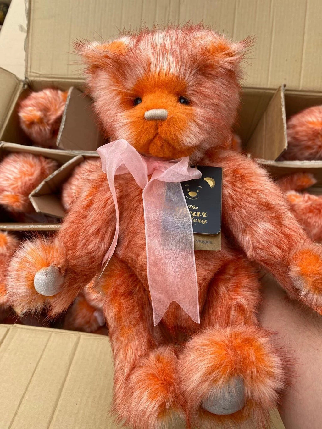 260926-toy-28 Charlie Bears Charley bears produced in Sri Lanka 30 cm 36 40 The normal is thousand 30厘米 Used