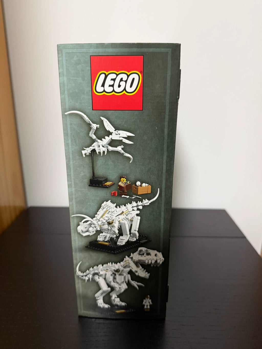 101026-toy-20 LEGO 21320