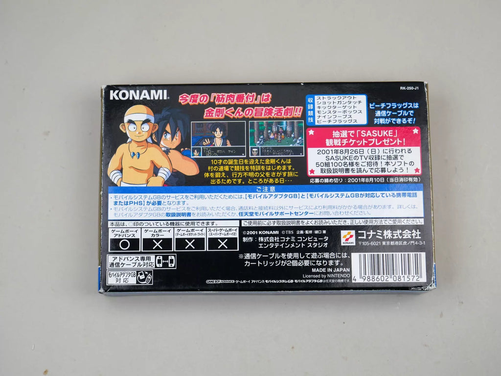 120926-toy-65 GBA