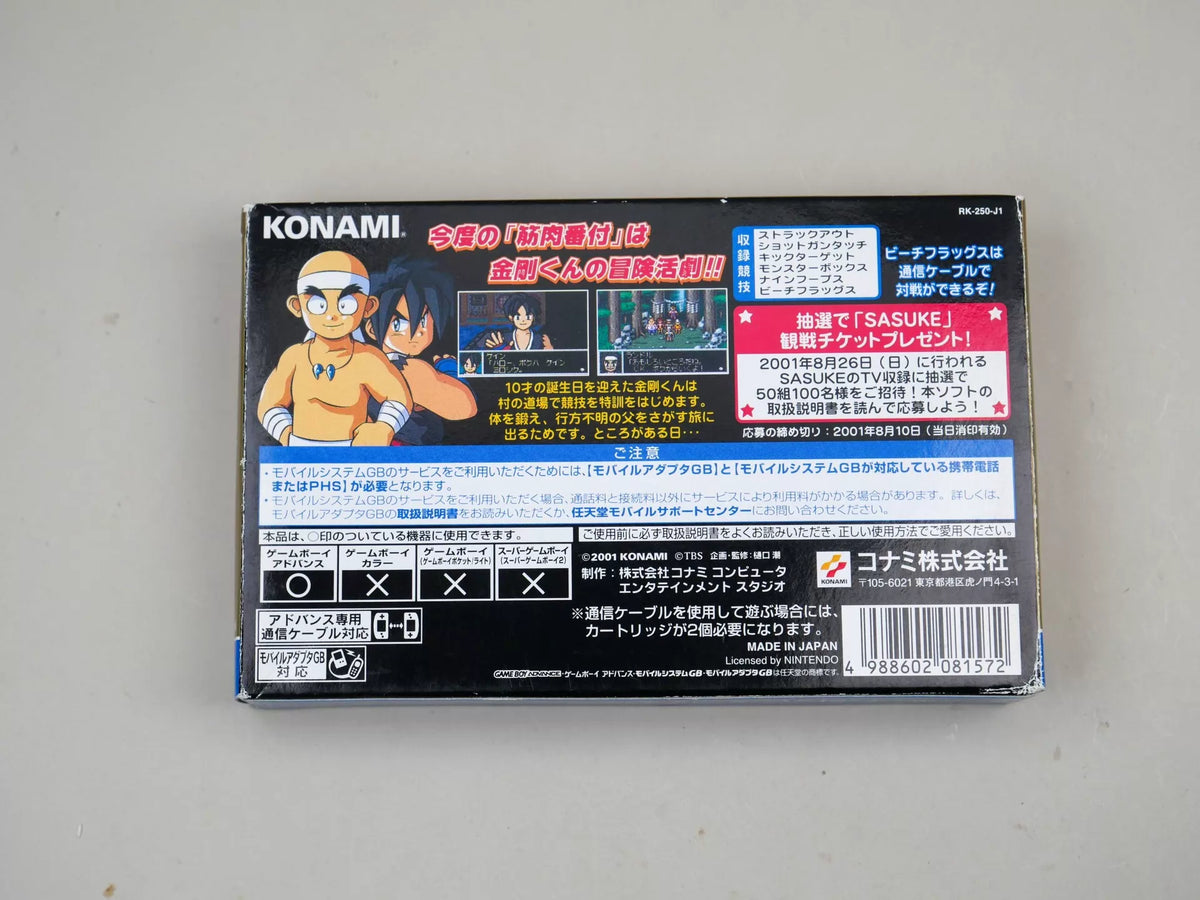 120926-toy-65 GBA