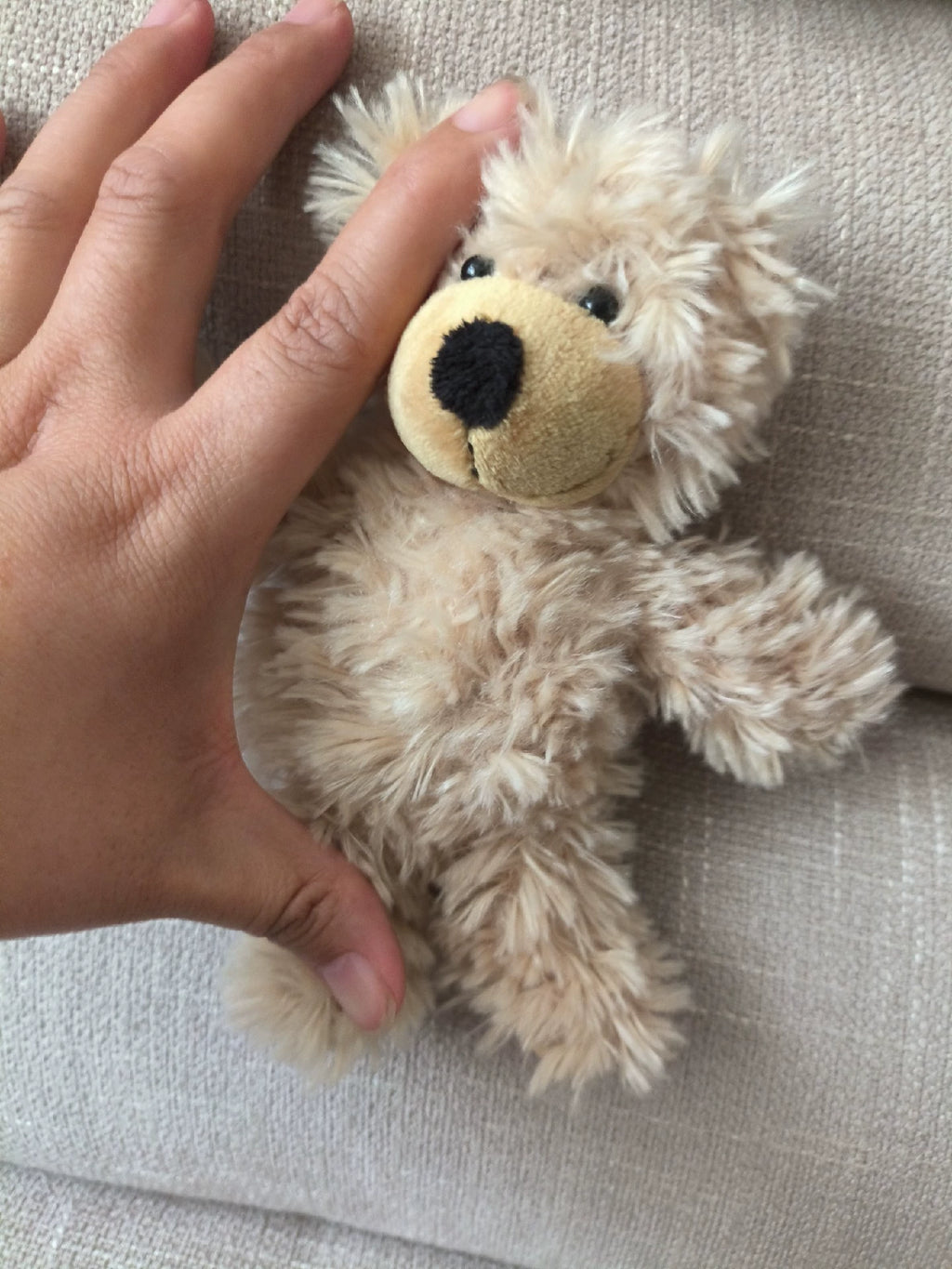 200926-toy-53 Charlie Bears The German sfeiff Bear toy is only one or two and there no sta