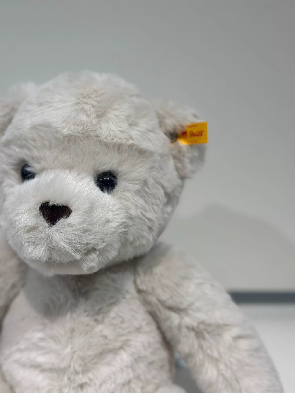 260926-toy-18 Steiff counter teddy bear Robbie plush doll brand with hang tag 42cm size sof With Box
