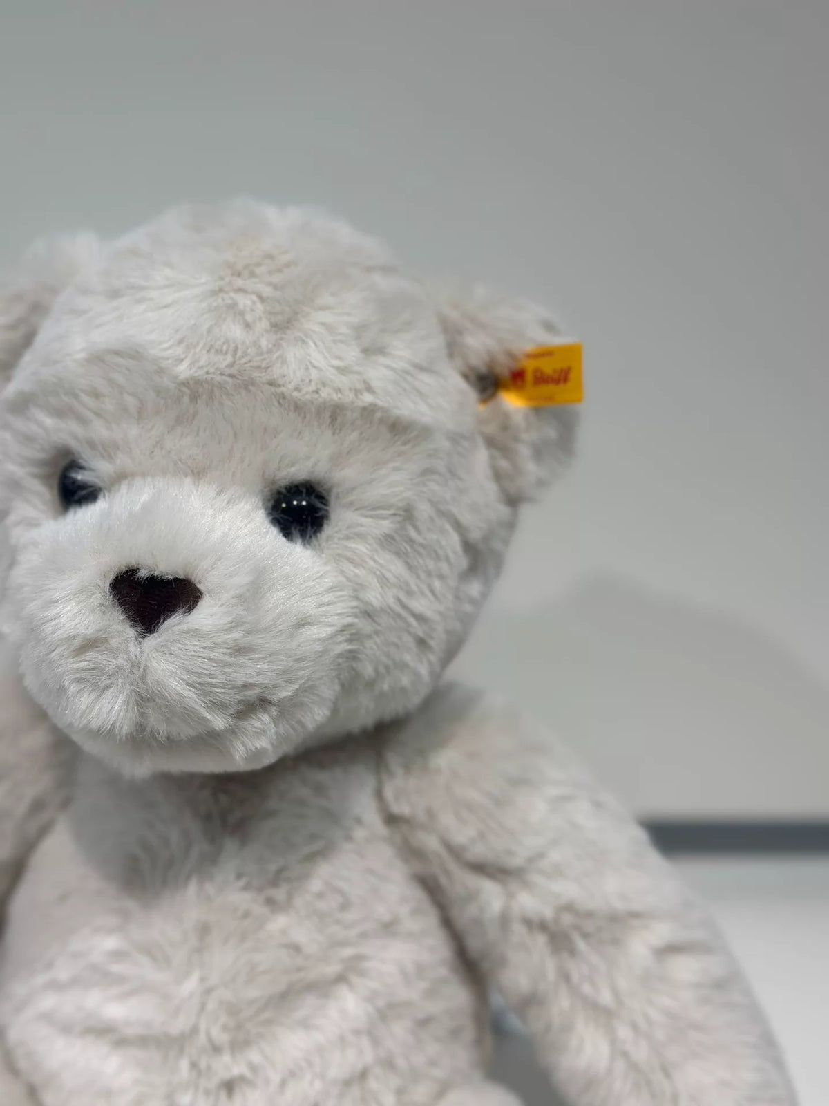 260926-toy-18 Steiff counter teddy bear Robbie plush doll brand with hang tag 42cm size sof With Box