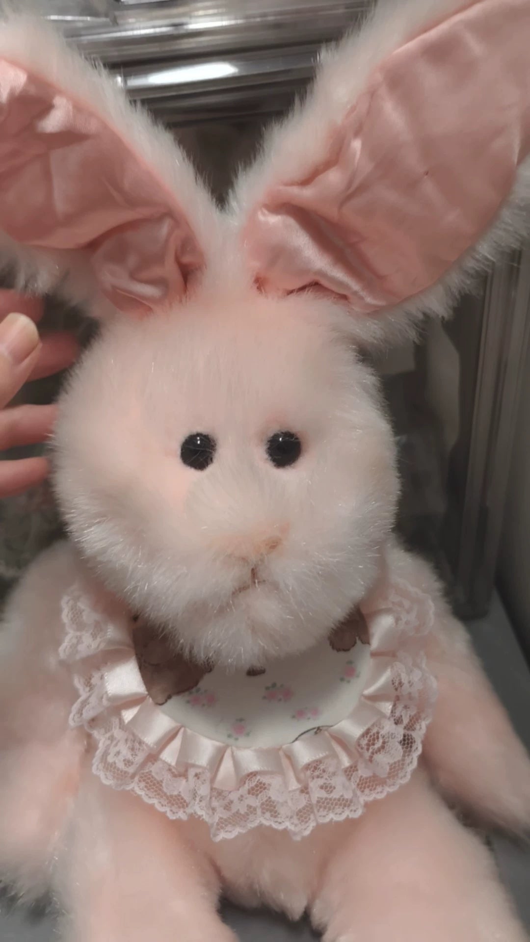 250926-toy-41 Pearl Rabbit