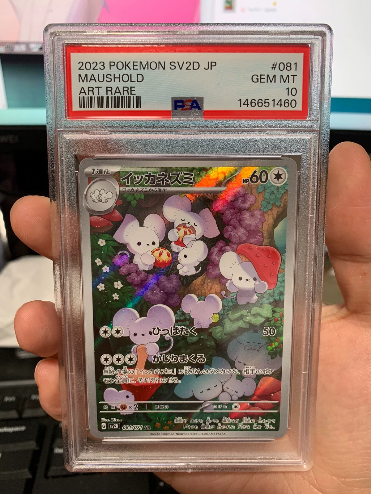 101026-toy-19 Pokemon Japanese version of Pokémon ptcg