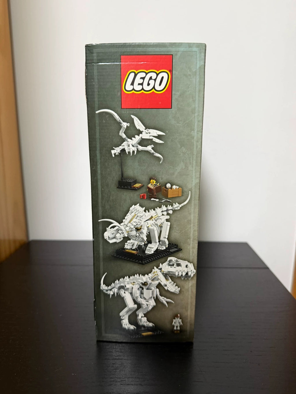 101026-toy-20 LEGO 21320