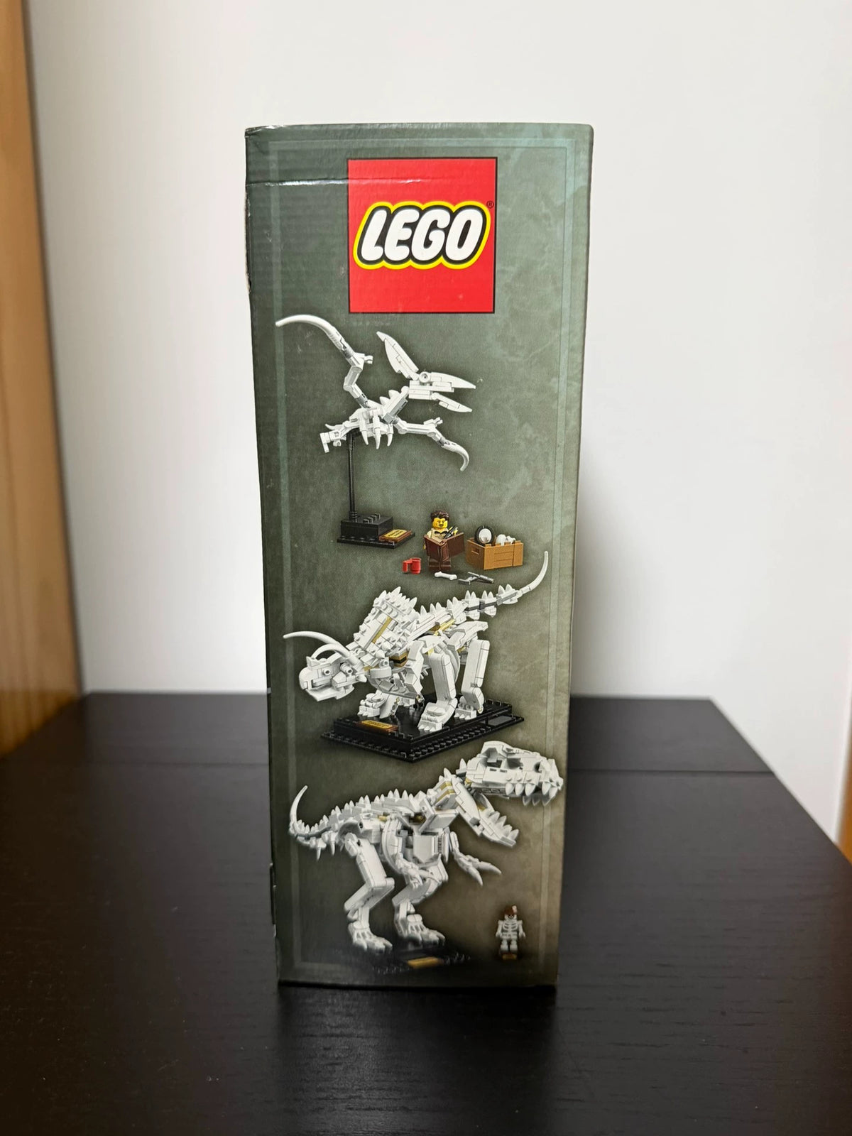 101026-toy-20 LEGO 21320
