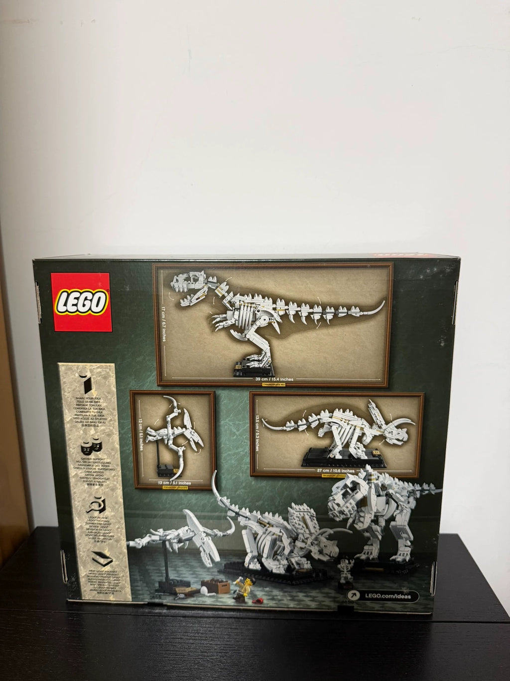 101026-toy-20 LEGO 21320