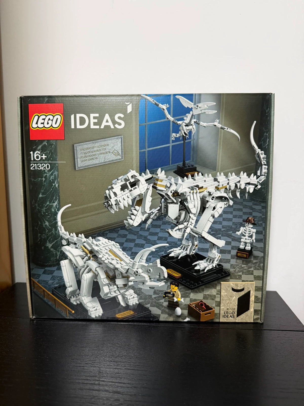 101026-toy-20 LEGO 21320