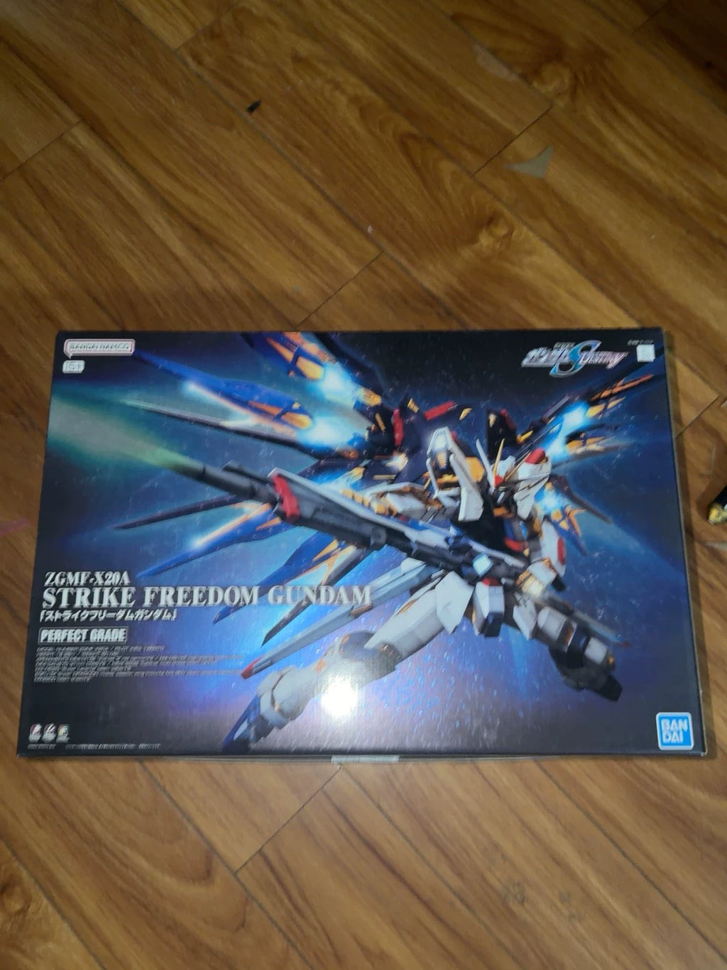 021026-toy-1 Gundam Bandai PG Strike Freedom series model 1/60 scale ZGMF-X20A original co